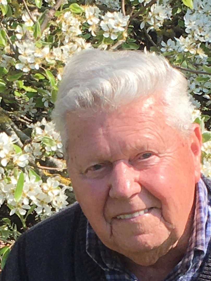 Clou Julien Clou Julien