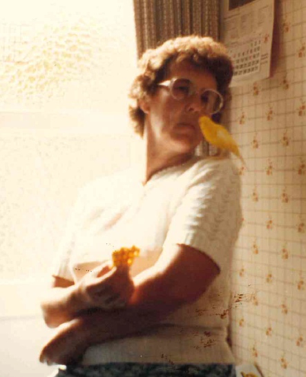 Foto Cordier Foto Cordier