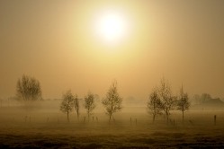 foto's rouwprentjes  (14)