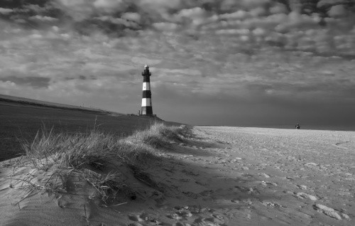 18bb1ae5933ef4435360f0214c1a9d1c_500x500_fit