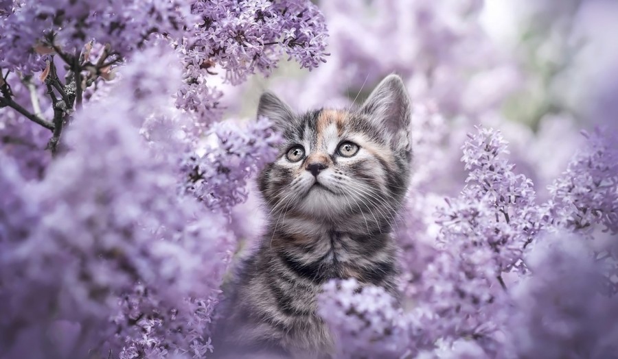 Schermafbeelding 2023-03-27 173943